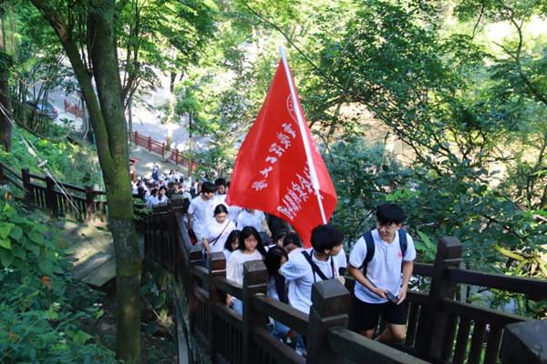 配有六速手动变速箱 思域RS将于今年在日本本土投产